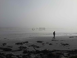 海灘,走,薄霧