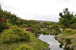 花園,樹(shù),性質(zhì)
