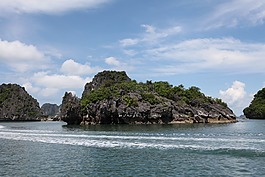 龜巖,石,水海