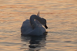 巴拉頓湖,心情,太陽(yáng)