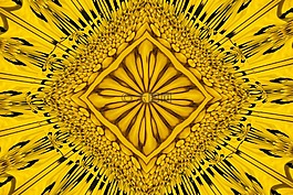 模式,花瓣,管