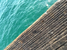 水,海,海洋
