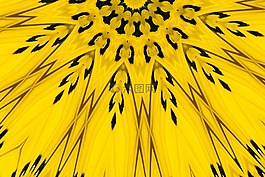 模式,花瓣,管