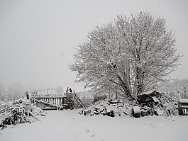冬季,雪,村
