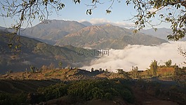 梯田,云,水稻
