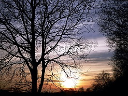步行,abendstimmung,日落