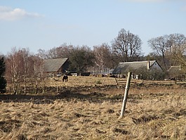 村,冬季,景觀