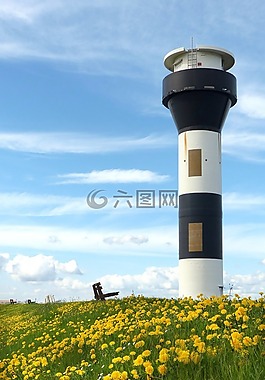 燈塔,黑與白,蒲公英
