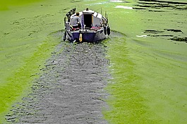 船,運河,水