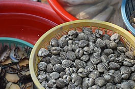 海鮮,貝殼,食品
