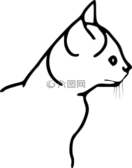 貓,小貓,動(dòng)物