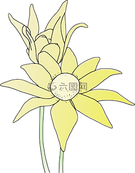 向日葵,花,花園