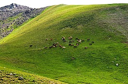 土耳其,卡拉德尼兹,kaçkars