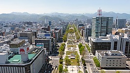 日本,札幌,全景視圖