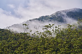 山,綠色,霧