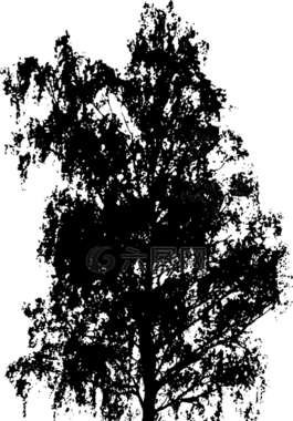 樹(shù),布什,自然