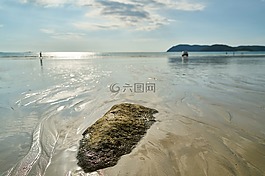 景观,海洋,石头