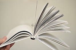 書頁,本書,紙