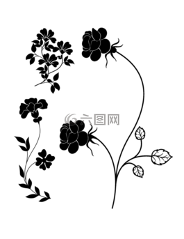 鮮花,花園,葉子