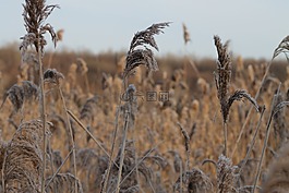 秋季,性質(zhì),休閑區(qū)