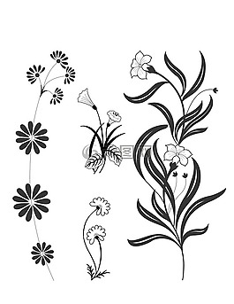 鮮花,花園,葉子