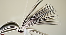 書頁,本書,讀取