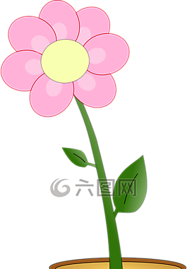 花,鍋,植物