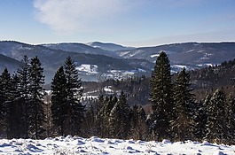 山,冬季,雪