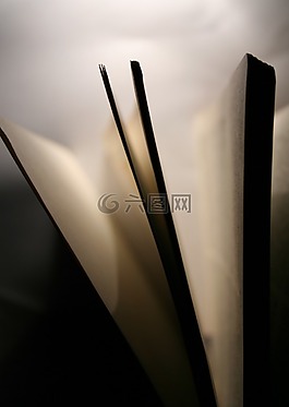 本書,頁,文學(xué)