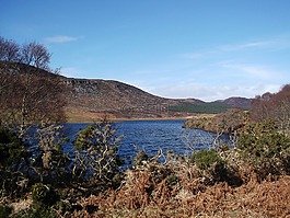 蘇格蘭,湖布羅拉,孔