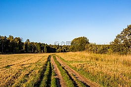 路,农村,村