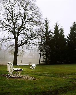 公園,銀行,樹(shù)