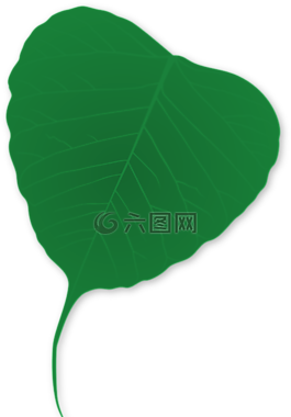 綠色,葉,植物