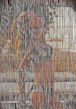 葡萄女孩,里德,美