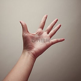 手,攝影,手掌