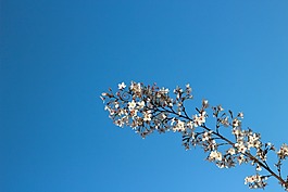 藍天,晴天,天空