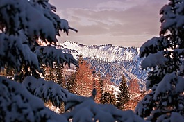 冬天,景觀,山