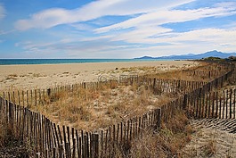 海灘,砂,海