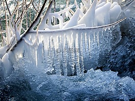 冰柱,雪,冬季