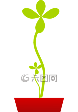 植物,鍋,招標