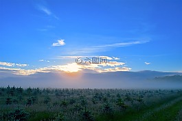 日出,原野,薄雾