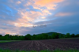日出,農(nóng)田,自然