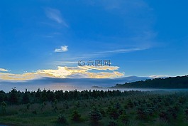 日出,原野,薄霧