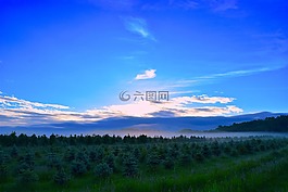 日出,原野,薄霧
