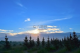 日出,原野,薄霧