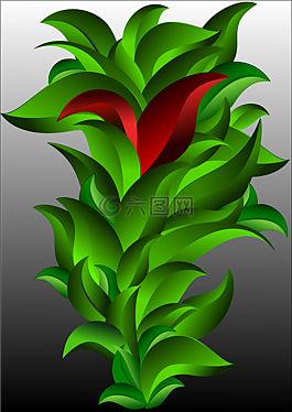 葉子,植物,蔬菜