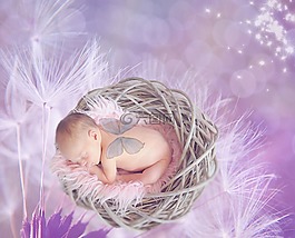 嬰兒,蒲公英,女性