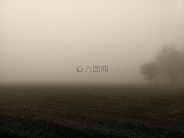 霧,早上,氣氛