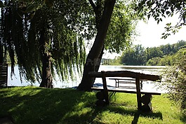 湖,銀行,樹(shù)