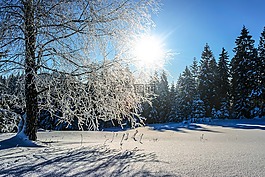 雪,冬季,弗羅斯特